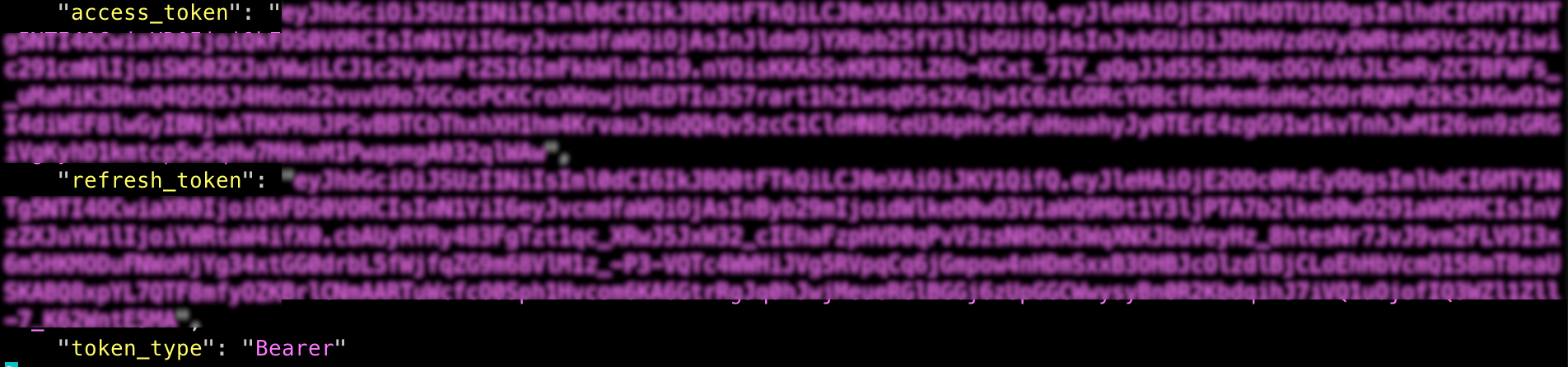 Obtain authentication tokens | W E K A